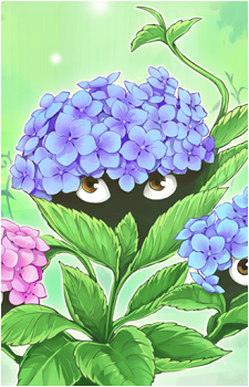 Naturia Hydrangea's image