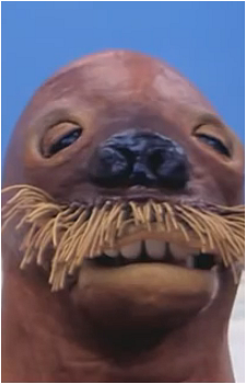Giant Walrus