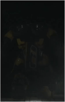 Bumblebee