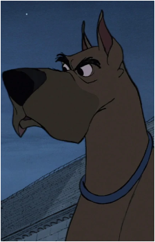 Danny's image