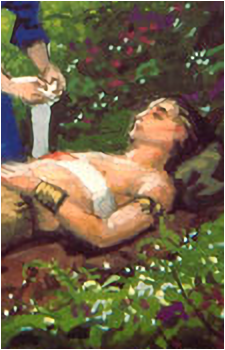 Image 3 Image 3