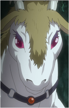 Kiripon's image
