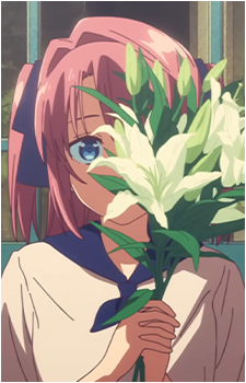 Image 6 Image 6