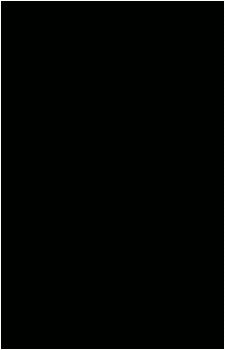Image 31