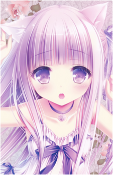 Image 7 Image 7