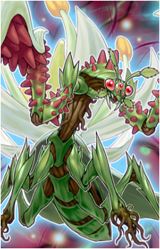 Predaplant Triantis's image