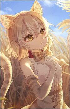 Domestic Cat