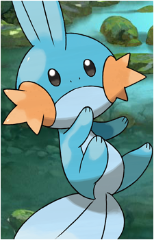 Mudkip