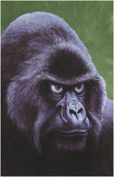 Ishmael {Ishmael}'s image