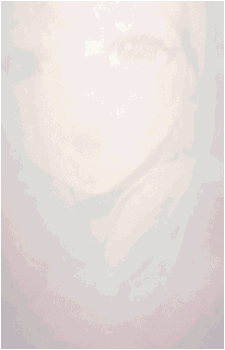 Image 28