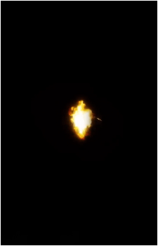 Image 48