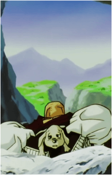 Mr. Satan