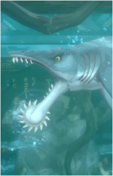Helicoprion's image