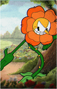 Cagney Carnation