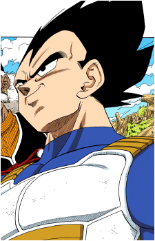 Image 48 of Vegeta
