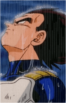 Image 69 of Vegeta