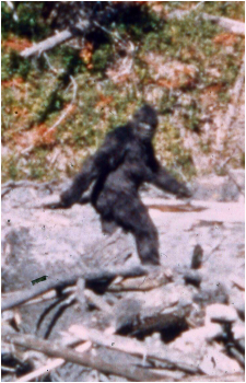 Bigfoot
