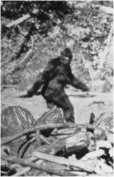 Bigfoot's image