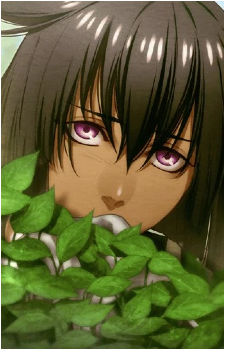 Image 14