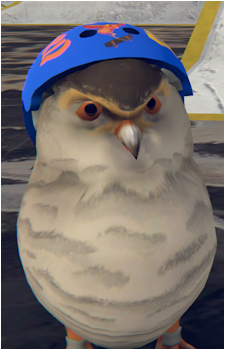 Anthony Hawk's image