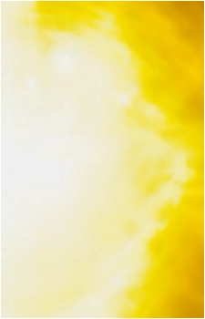 Image 100 Image 100
