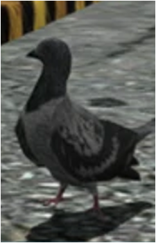 Hatsun's image