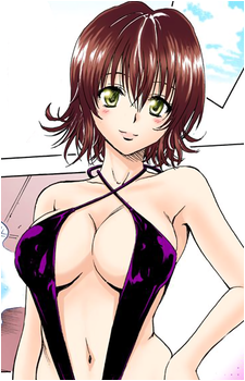 Ryouko Mikado
