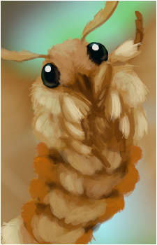 Moth {Webbed}'s image