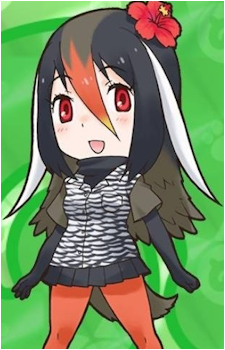 Okinawa Rail