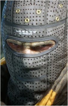 The Pain's image