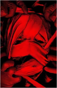 Image 11 - Art: Elvisdead Image 11