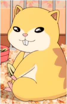 Koriki's image