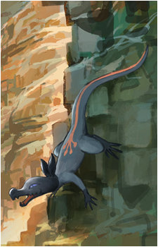 Image 37