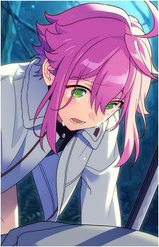 Tori Himemiya