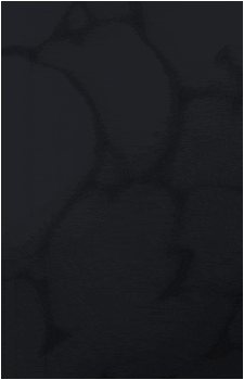 Image 37
