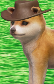 The Nintendog's image