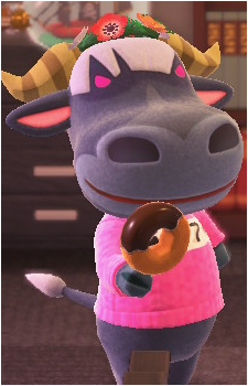 Rodeo