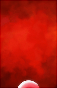 Image 37