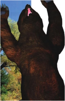 Kuma I's image