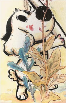 Image 3 Image 3