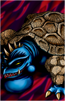Boulder Tortoise's image