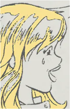 Image 17