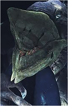Image 3 of Riven of a Thousand Voices