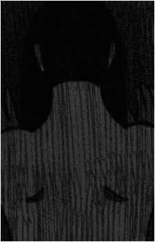 The Lady Facing the Wall