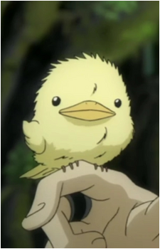 Hibird's image