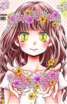 Yomi (ZG) Image
