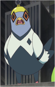 Pigeon's image