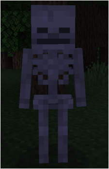 Skeleton