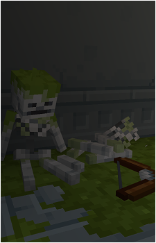Skeleton