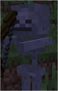 Skeleton